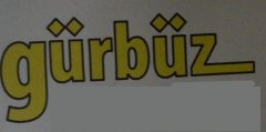 gurbuz.jpg