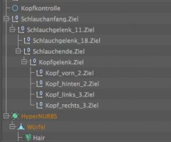kopf6.jpg