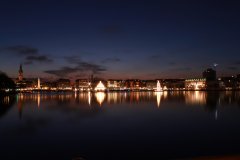 IMG_5062_tut.jpg