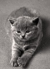 DSC_3366-8x6.jpg