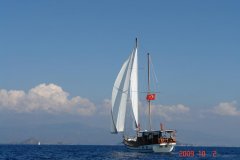 DSC00627.jpg