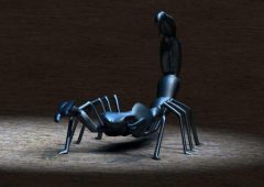Scorpion-lowres.jpg