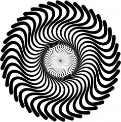 illusion212.jpg