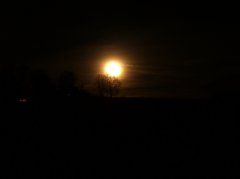 100_4467.jpg