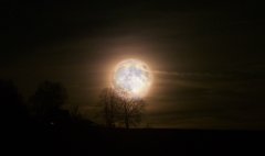 Mond2.jpg