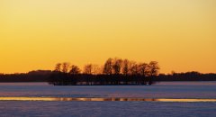 dieksee 0254.jpg
