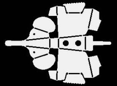 elefant.jpg