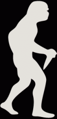 australopithecus.gif