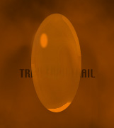 trail.jpg