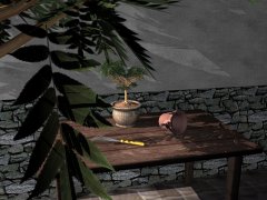 garten1.jpg