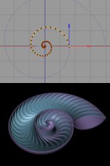nautilus.jpg
