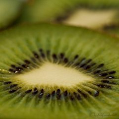 Kiwi2.jpg