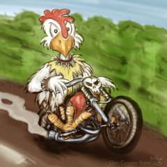 dirt-chicken-biker.jpg