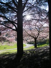 DSCF1434.jpg