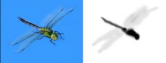 fotolia_15670472 Kopie.jpg