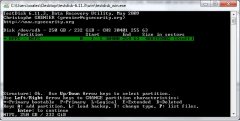 disk2.jpg