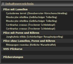 2010-06-26_CPG_Inhaltsverzeichnis_vorher.jpg