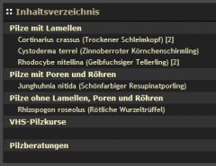 2010-06-26_CPG_Inhaltsverzeichnis_nachher.jpg