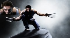 Wolverine Kopie.jpg