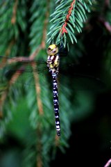DSC07317.JPG