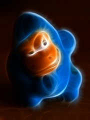 Gorilla.jpg