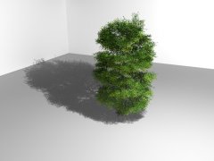 baum.jpg