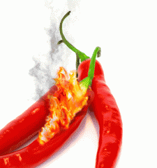 chili.gif