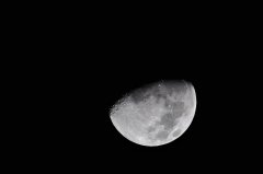 luna.jpg