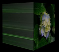 Bild2-360°H-Rot.JPG