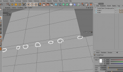 quads.PNG