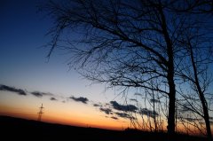 DSC_0356.jpg