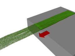 grasstest 3_0040.jpg