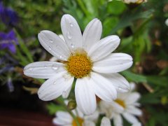 IMG_0615_small.jpg