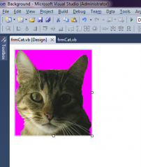 cat.png