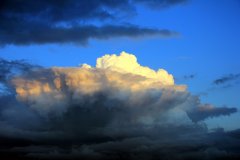 IMG_2447.jpg