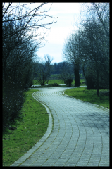photo_by_dennismenzel-d3chsku.png