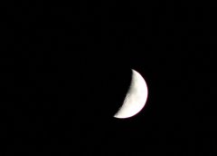 IMG_2739.jpg