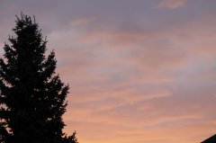 IMG_3771.JPG