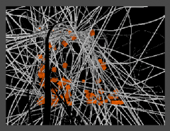 Render.png