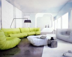 6_ligne_roset.jpg