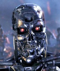 Terminator_Hauptseite.jpg Terminator_Hauptseite.jpg