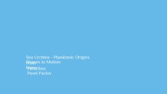 Shapes In Motion from Pavel Pavlov.jpg