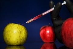 Apple.jpg Apple.jpg