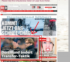 bild.de.png