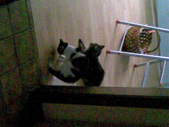 Bild_test_rot90.png Bild_test_rot90.png