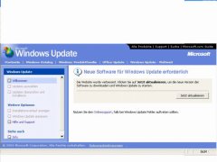 screenshot.jpg