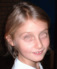 dscf0019.gif