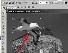 corel draw 102.jpg