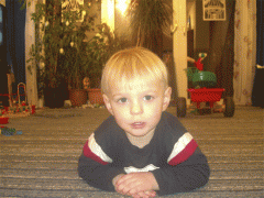 blitzbild.gif