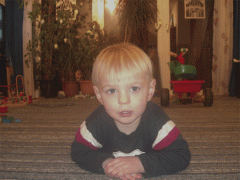 blitzbild.gif